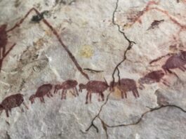 Figuras antromorfa (humano) y zoomorfas, que parecen ser chanchos troperos.
