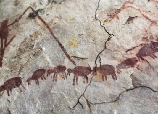 Figuras antromorfa (humano) y zoomorfas, que parecen ser chanchos troperos.