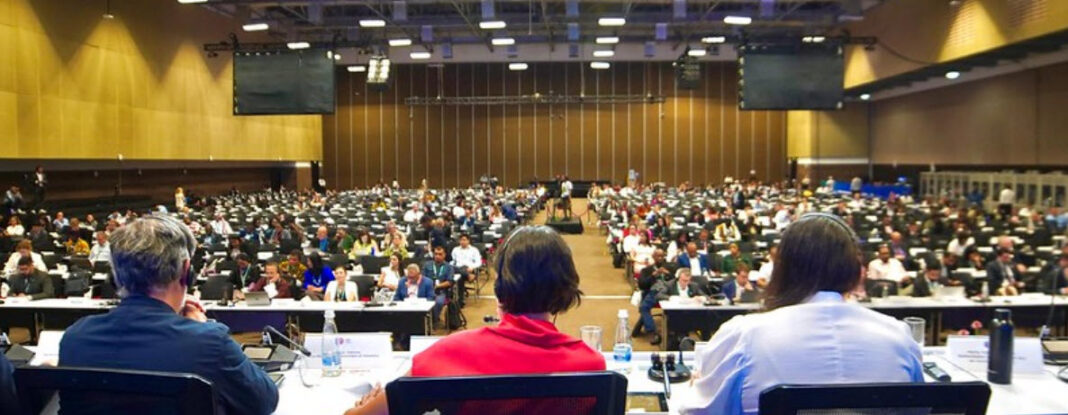 Imagen principal: Sesión plenaria de la COP16. Foto: UN Biodiversity Imagen principal: Sesión plenaria de la COP16. Foto: UN Biodiversity