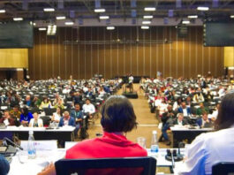 Imagen principal: Sesión plenaria de la COP16. Foto: UN Biodiversity
