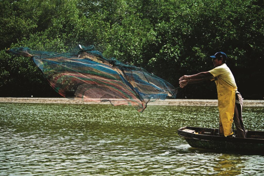 El Santuario Nacional Los Manglares de Tumbes alberga una población de cocodrilos y nutrias. Foto: Sernanp/Walter Wust