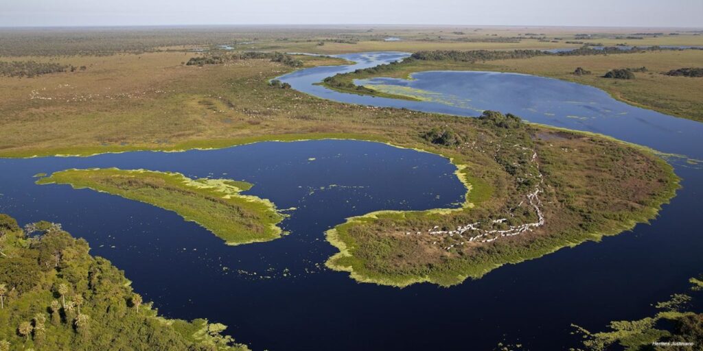 El Pantanal es un extenso humedal que comparten Bolivia, Brasil y Paraguay. Foto: FCBC.