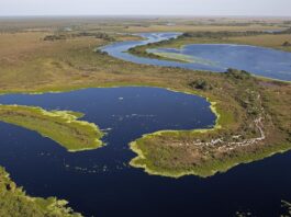 El Pantanal es un extenso humedal que comparten Bolivia, Brasil y Paraguay. Foto: FCBC.