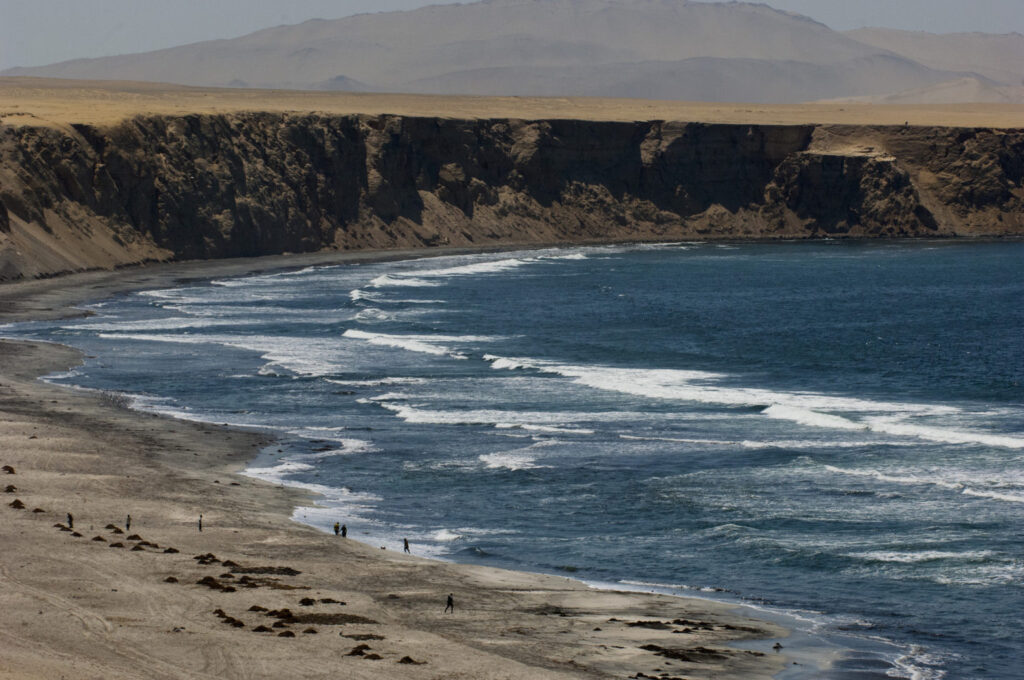 La Reserva Nacional de Paracas alberga por lo menos 1500 especies de plantas y animales. Foto: Gabriel Herrera.
