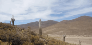 EL Ayllu Huatari y otros aledaños son sectores sumamente fértiles ya que producen nada menos que la quinua real. Imagen Thunupa Mica Tayca (Página oficial)