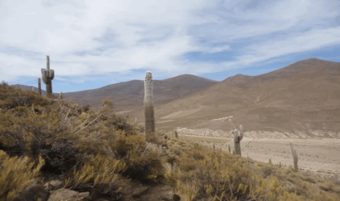 LITIO EL Ayllu Huatari y otros aledaños son sectores sumamente fértiles ya que producen nada menos que la quinua real. Imagen Thunupa Mica Tayca (Página oficial)
