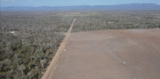 Foto de inspección al Valle de Tucabaca en la zona de uso forestal, en las nacientes del río de Tucabaca. Foto: Movimiento en Defensa del Valle de Tucabaca