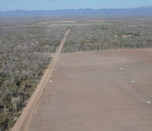 Foto de inspección al Valle de Tucabaca en la zona de uso forestal, en las nacientes del río de Tucabaca. Foto: Movimiento en Defensa del Valle de Tucabaca