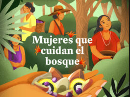 Imagen que ilustra la portada del libro. Foto: FAN