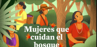Imagen que ilustra la portada del libro. Foto: FAN