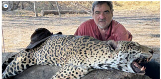 El empresario argentino Jorge Néstor Noya muestra un jaguar muerto como si fuera un trofeo. Foto: obtenida durante la investigación de Mongabay Latam
