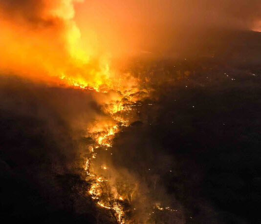 Incendios en cercanías de la comunidad de Quitunuquiña, municipio de Roboré en el departamento de Santa Cruz. Foto: Claudia Belaunde.