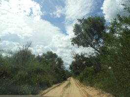 Esta área de conservación acoge un bosque “casi endémico” y un pueblo en aislamiento voluntario. Foto: Rocío Lloret