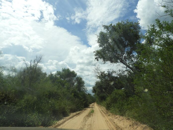 Esta área de conservación acoge un bosque “casi endémico” y un pueblo en aislamiento voluntario. Foto: Rocío Lloret