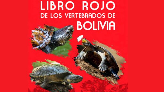 LIBRO ROJO