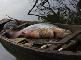 Foto: Aldo Echeverría