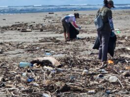 Voluntarios de al menos 9 países de Latinoamérica colaboraron con científicos para identificar el origen de la contaminación por botellas plásticas en sus playas. Foto: cortesía Mauricio Ergas / Científicos de la basura