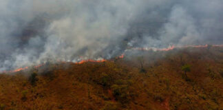 La zona con fuego activo en el Parque Noel Kempff Mercado, en el departamento de Santa Cruz, Bolivia. Foto: cortesía Viceministerio de Defensa Civil.