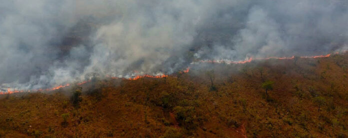 Incendiso forestales Bolivia 2025 La zona con fuego activo en el Parque Noel Kempff Mercado, en el departamento de Santa Cruz, Bolivia. Foto: cortesía Viceministerio de Defensa Civil.