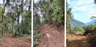 El reportaje finalista de La Región muestra el avance de las vías ilegales dentro del Parque Nacional Carrasco.