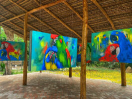 Obra expuesta en el Bioparque Curucusí.