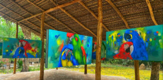 Obra expuesta en el Bioparque Curucusí.