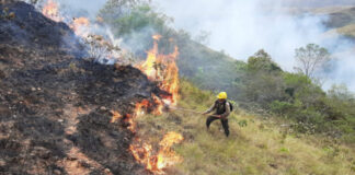 Los bomberos en Bolivia combaten el fuego en el parque Noel Kempff Mercado. Foto: cortesía Ministerio de Medio Ambiente y Agua