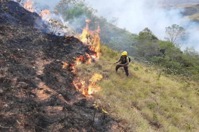 Los bomberos en Bolivia combaten el fuego en el parque Noel Kempff Mercado. Foto: cortesía Ministerio de Medio Ambiente y Agua