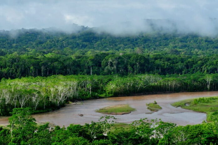 Madidi Bolivia minería ilegal El Parque Nacional Madidi, ubicado en el Amazonía boliviana, es una de las áreas protegidas más biodiversas del mundo. Poco a poco la minería avanza sobre está reserva. Foto: cortesía Sernap