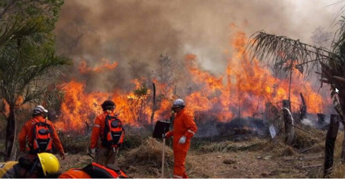 Incendios Bolivia 2025 los incendios forestales vuelven a afectar bosques y parques nacionales en Bolivia, tras la tragedia de 2024. Foto: cortesía CEJIS