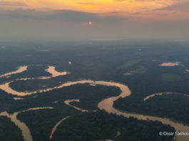 Los Llanos de Moxos concentran la mayor densidad de sitios arqueológicos de la Amazonia y albergan a la mitad de los pueblos indígenas de Bolivia.