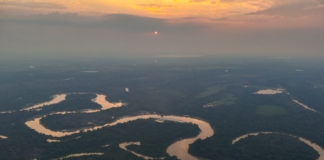 Los Llanos de Moxos concentran la mayor densidad de sitios arqueológicos de la Amazonia y albergan a la mitad de los pueblos indígenas de Bolivia.