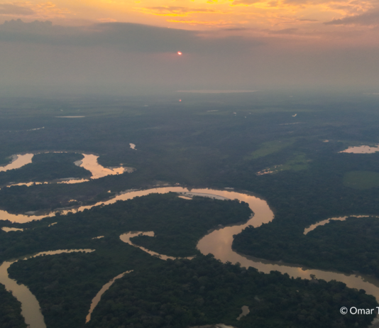 Los Llanos de Moxos concentran la mayor densidad de sitios arqueológicos de la Amazonia y albergan a la mitad de los pueblos indígenas de Bolivia.