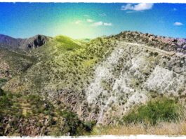 Vista de la secuencia de arcillas de la Sierra de Bacadéhuachi, en Sonora, al norte de México. Foto: cortesía Luca Ferrari