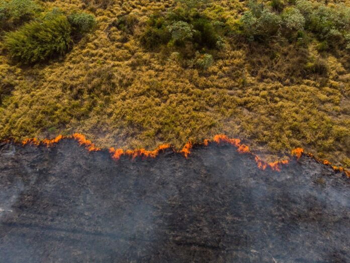 Migración Los incendios forestales son una de las causas que obligan a comunidades enteras a desplazarse dentro y fuera de sus territorios en diversas regiones del mundo.