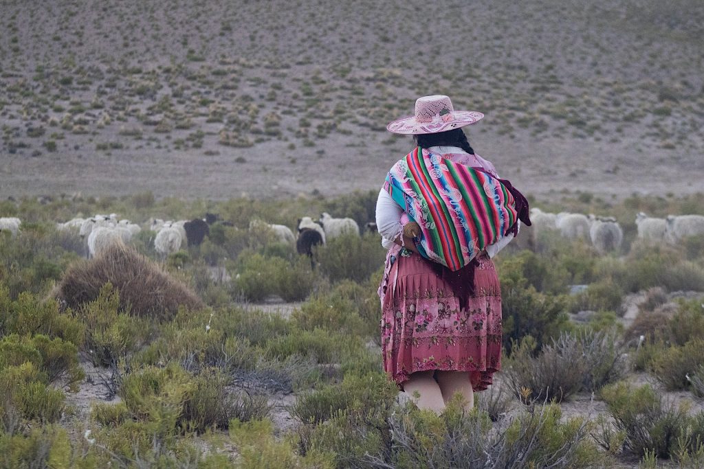 Una pastora cuida sus ovejas en una zona rural de Potosí, en el altiplano boliviano. El nuevo presidente del país, Rodrigo Paz, ha prometido superar la crisis económica con un “capitalismo para todos” y una mayor apertura al mercado global (Imagen: Arianna Rosso / Flickr, CC BY NC SA)