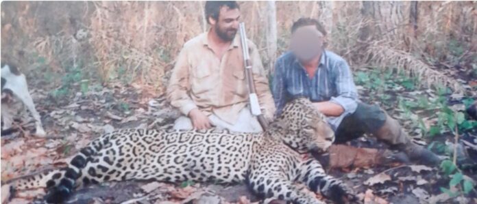 CACERÍA DE JAGUARES BOLIVIA Jorge Néstor Noya posa junto a uno de sus clientes y un jaguar muerto tras una jornada de caza. Foto: material obtenido durante la investigación de Mongabay Latam.