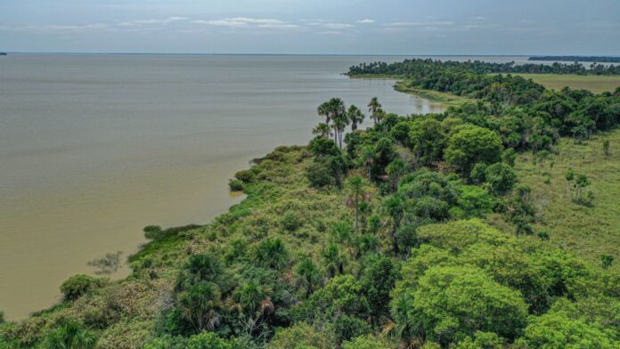 Lago de Ginebra Moxos Lago Ginebra. Foto: Omar Torrico / WCS Bolivia.