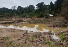 Tacanas advierten: minería ilegal en el río Toromonas pone en riesgo de supervivencia a pueblo en aislamiento voluntario Los impactos ambientales de la minería ilegal en el territorio indígena son evidentes. Foto: CITRMD