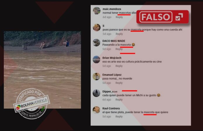 Verificación jaguar