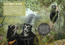 Mamíferos de Bolivia: descarga gratis el libro ilustrado