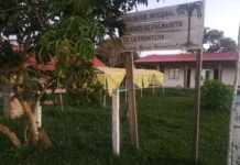 Un camino aprobado en Concepción amenaza árboles de cusi que sostienen el trabajo de mujeres indígenas Sede de la Asociación Integral de Mujeres de Palmarito de la Frontera “Buscando Nuevos Horizontes”, donde mujeres indígenas desarrollan desde hace más de una década iniciativas de aprovechamiento sostenible del bosque chiquitano.
