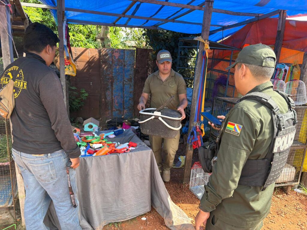 Personal de POFOMA y de la Gobernación verifica puestos donde presuntamente se comercializaba fauna silvestre.