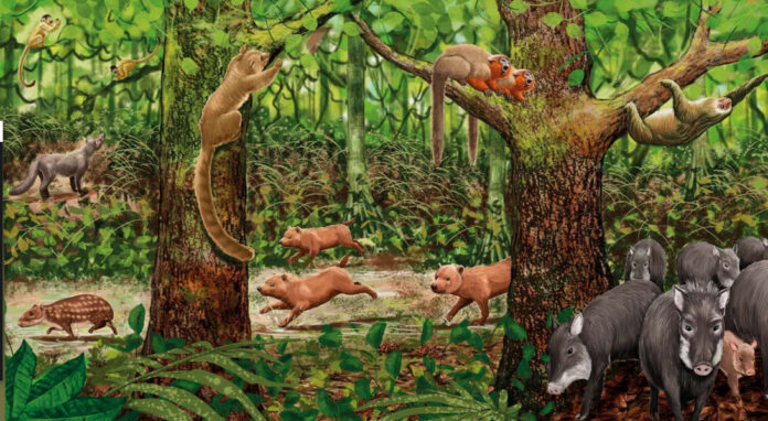 Día Mundial de la Vida Silvestre Cada 3 de marzo, el Día Mundial de la Vida Silvestre invita a reflexionar sobre la diversidad de especies que habitan Bolivia y los desafíos para su protección. Crédito: Ilustración extraída del libro Mamíferos Medianos y Grandes de Bolivia.