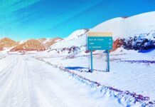 Argentina: la provincia de Salta abandona su mayor área protegida mientras las mineras de litio avanzan sobre ella En el noroeste de Argentina, la Reserva de Fauna Los Andes, en la provincia de Salta, espera que comience a funcionar un plan de manejo oficial desde 1980. Imagen: CLIP/Alejandra Saavedra