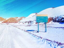 En el noroeste de Argentina, la Reserva de Fauna Los Andes, en la provincia de Salta, espera que comience a funcionar un plan de manejo oficial desde 1980. Imagen: CLIP/Alejandra Saavedra