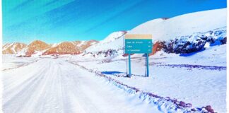 En el noroeste de Argentina, la Reserva de Fauna Los Andes, en la provincia de Salta, espera que comience a funcionar un plan de manejo oficial desde 1980. Imagen: CLIP/Alejandra Saavedra