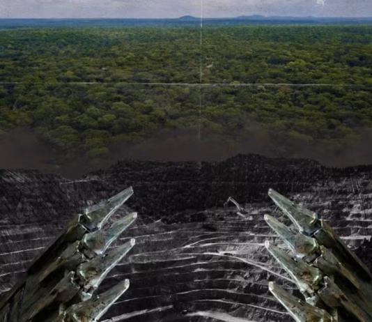 Minería: ¿El fin de la Chiquitanía?
