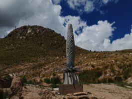 La Puya raimondii tallada en piedra granito ubicada en las faldas del cerro. Foto: Brenda Villalba