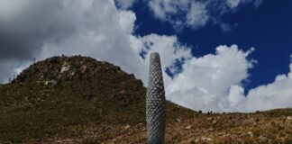 La Puya raimondii tallada en piedra granito ubicada en las faldas del cerro. Foto: Brenda Villalba